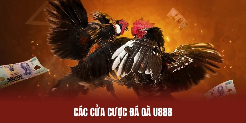 Tham khảo một số cửa cược đá gà U888 phổ biến