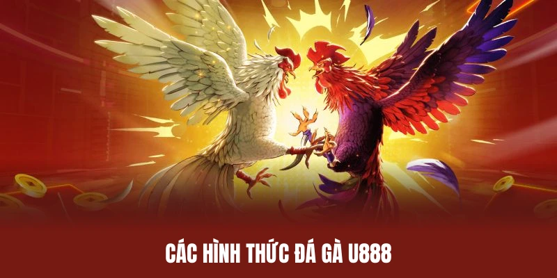 Không gian đá gà U888 đỉnh cao với đa hình thức thi đấu