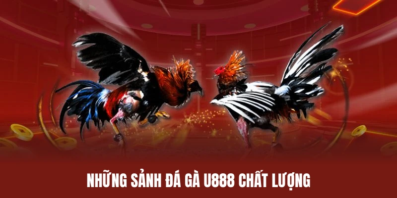 Danh sách một số sảnh đá gà U888 hot tại nền tảng